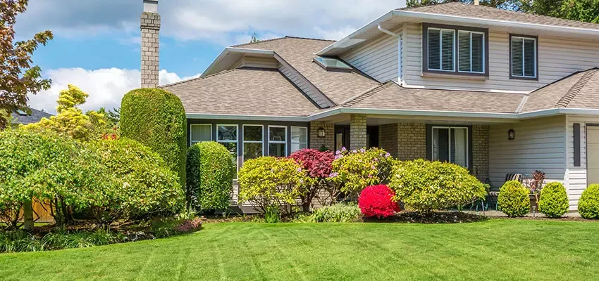 Green healthy front yard